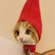 Samantha Ferrer's avatar